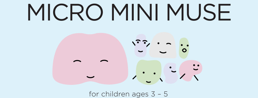 micro mini muse