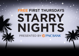 Starry Night graphic