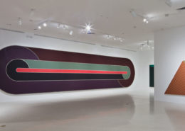 Frank Stella: Experiment and Change