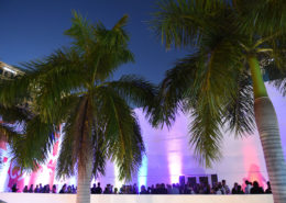 Free First Thursdays Starry Nights presented by PNC Arts Alive!