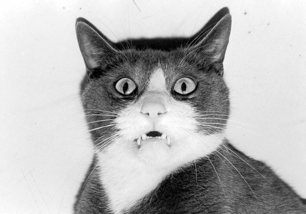 Nsu Calendar 2023 Photographing The Fantastic – Nsu Art Museum Fort Lauderdale