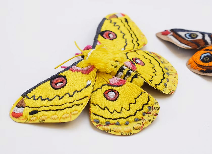 Yellow Moth