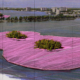 Christo, Surrounded Islands (Project for Biscayne Bay, Greater Miami, Florida), 1982 Copyright: 2024 Christo and Jeanne-Claude Foundation Collection NSU Art Museum Fort Lauderdale: Gift of the Christo and Jeanne-Claude Foundation