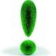 Richard Artschwager, Exclamation Point, 1997, Green plastic bristles on mahogany with latex, 48 x 20.5 in (121.9 x 52.1 cm), Frederick R. Weisman Art Foundation, Los Angeles. © 2025 Richard Artschwager / Artists Rights Society (ARS), New York.