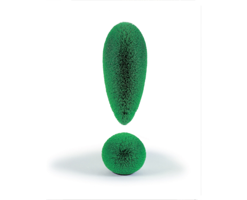 Richard Artschwager, Exclamation Point, 1997, Green plastic bristles on mahogany with latex, 48 x 20.5 in (121.9 x 52.1 cm), Frederick R. Weisman Art Foundation, Los Angeles. © 2025 Richard Artschwager / Artists Rights Society (ARS), New York.