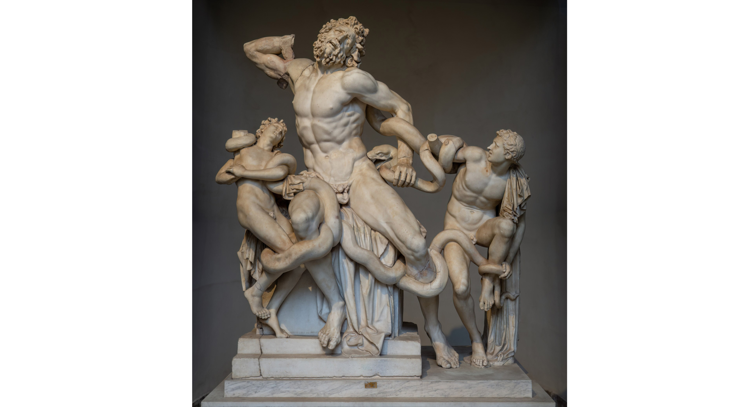 Image: Laocoön and His Sons, c.40-30 BCE, Marble, 6 ft 10 in × 5 ft 4 in × 3 ft 8 in, Vatican Museums, Vatican City.