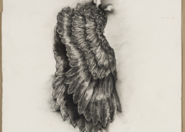 Michael Richards, Untitled (Wings), 2001, Graphite on paper, Collection of Genaro Ambrosino